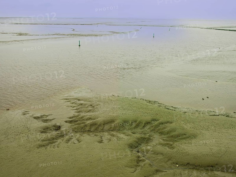 Low tide, mudflats, Dollart, Nieuwe Statenzijl, Netherlands