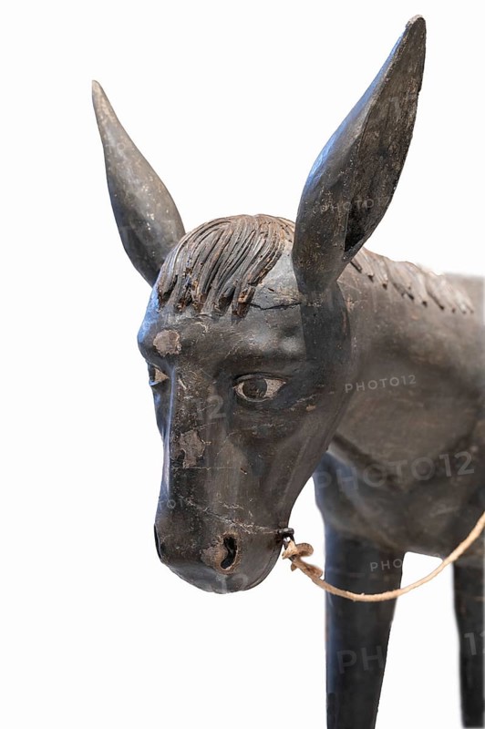 Detail of the palm donkey, donkey head, wooden figure from around 1350, on a white background, Diözesan Museum, Rottenburg, Baden-Württemberg, Germany, Europe