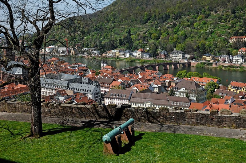 View from the castle to Heidelberg with old bridge and the Neckar in front old cannon, castle courtyard, Heidelberg, Baden-Württemberg, Germany, Europe