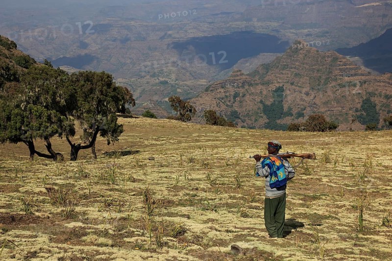 In the highlands of Abyssinia, in the Semien Mountains, landscape in the Semien Mountains National Park, guard, accompanying person, Ethiopia, Africa