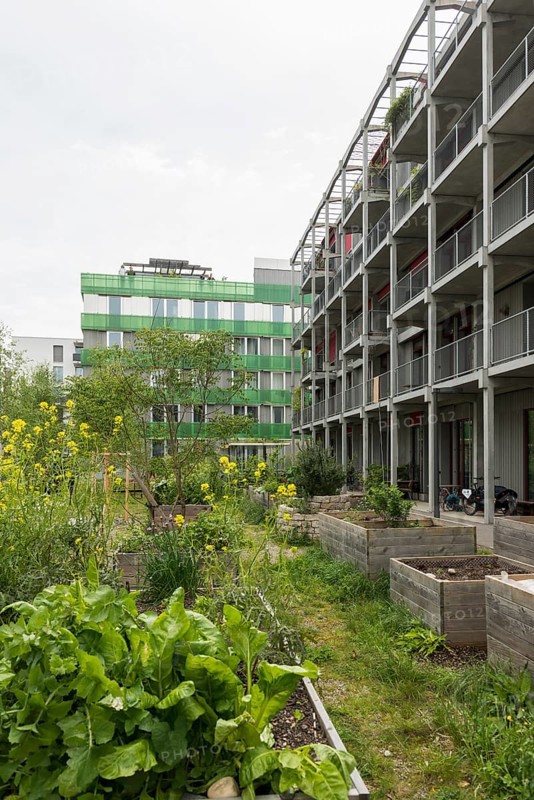 Modern architecture, co-operative, housing co-operative, Erlenmatt, Basel, Canton of Basel-Stadt, Switzerland, Europe