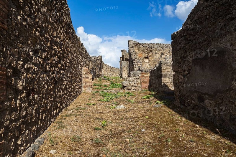 Old stone and terracotta brick wall and building structures in yard covered with brown soil and overgrown with weeds at the ancient ruins of Pompeii, Campania region, Italy, Europe