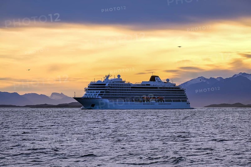 Ushuaia, Tierra del Fuego, Argentina, cruise ship Viking Jupiter in the evening sun in the Beagle Channel, South America
