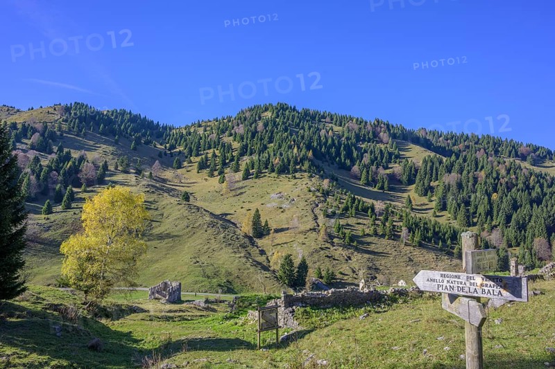 Signpost and autumn-coloured birch tree near a ruin from the First World War, Pieve del Grappa, Province of Treviso, Italy, Europe