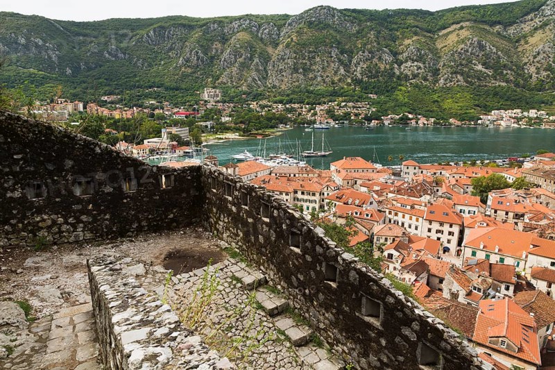 High angle view of walled mountainside walking trail, apartment buildings and houses covered with traditional terracotta clay roof tiles plus view of the bay, Old Town of Kotor, Montenegro, Europe