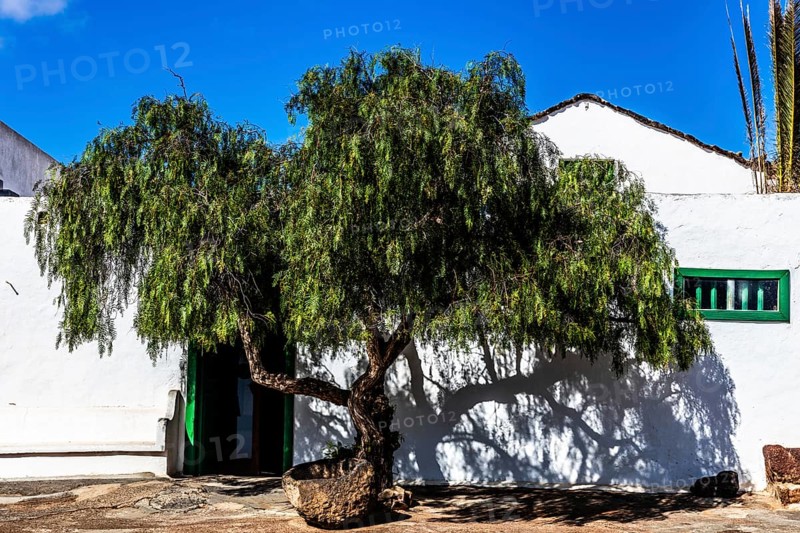 2016, Raimund Franken, Model Release:Not, Property Release: Not Tiagua, Lanzarote, Farm Museum El Patio, Tiagua, ESP, Spain, Canary Islands, Canary Islands, Atlantic Ocean, Lanzarote, biosphere reserve, volcano, volcanism, agricultural museum, open-air museum, volcanic island, island, recording date, Europe