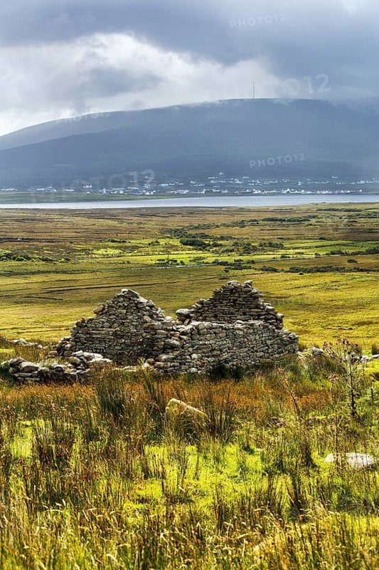 Ruin of a stone house in a meadow, abandoned village, settlement near Slievemore, Acaill, Achill Island, Mayo, Ireland, Europe