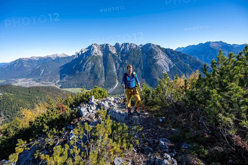 Mountaineer on a hiking trail between mountain pines, autumnal mountain landscape, ascent to the Große Arnspitze, view of the mountain peaks of the Karwendel, near Scharnitz, Bavaria, Germany, Europe