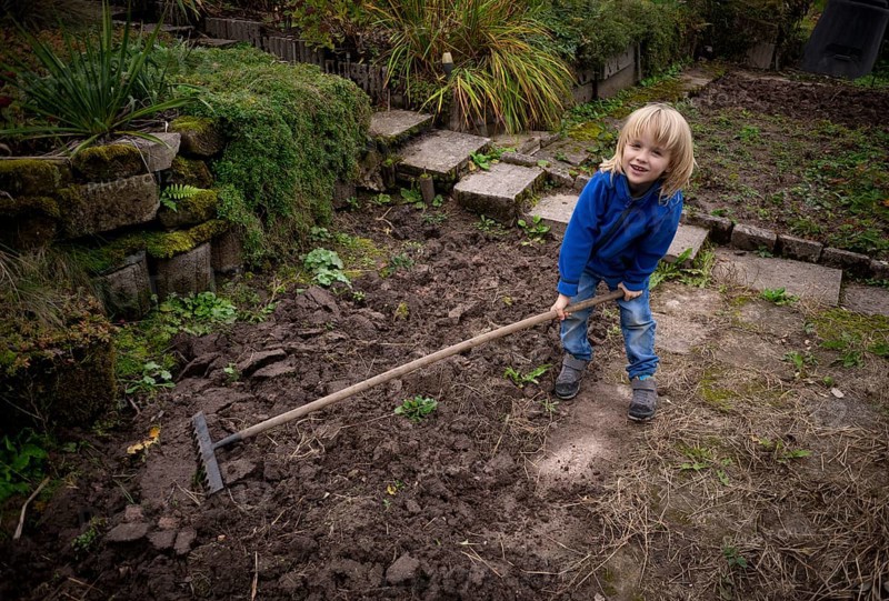 Little boy, 6 years, blonde, gardening, rake, allotment, Stuttgart, Baden-Württemberg, Germany, Europe