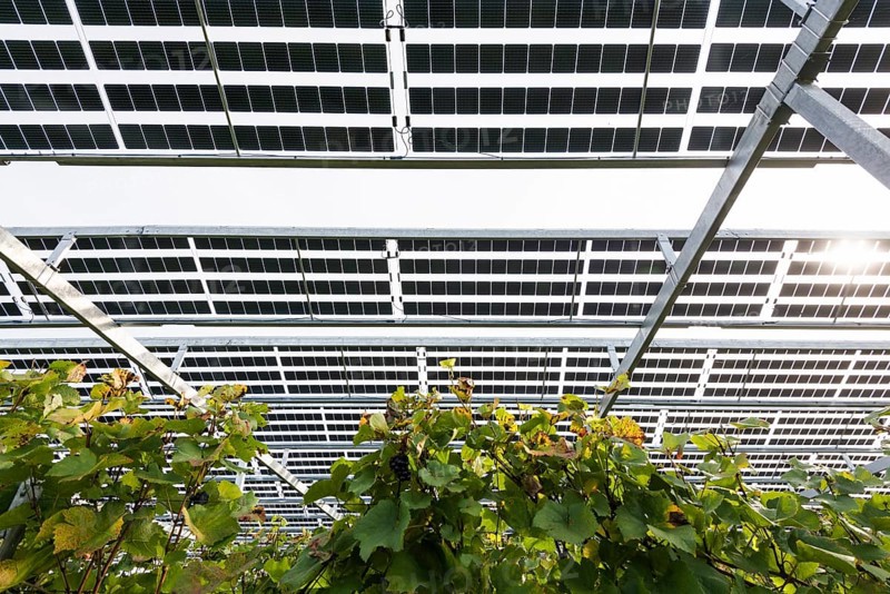 Solar plant in the vineyard, solar cells, solar modules, solar power plant, photovoltaic plant, Blankenhornsberg, near Ihringen, Kaiserstuhl, Baden-Württemberg, Germany, Europe