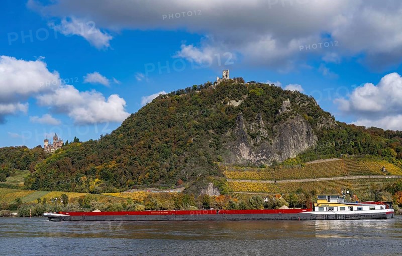 Drachenfels, a mountain in the Siebengebirge on the Rhine between Bad Honnef and Königswinter, with Drachenfels castle ruins and Drachenburg castle, left, boat traffic on the Rhine, North Rhine-Westphalia, Germany, Europe