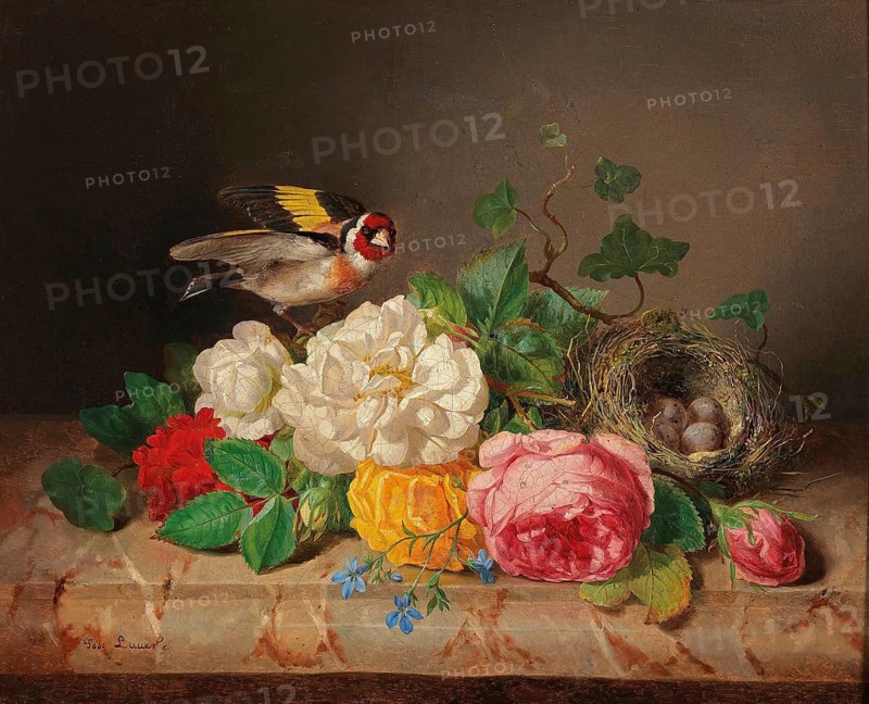 Rose petals with goldfinch and bird's nest, painting by Josef Lauer (1818, 1881), Austrian still life painter who was active in the Biedermeier period, among others