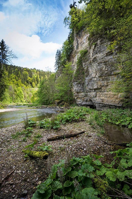 Steep cliffs and river, Wutach Gorge, Bonndorf, Baden-Württemberg, Black Forest, Germany, Europe