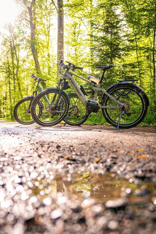 Two e-bikes on a forest path with sunlight and shadow effects, e-bike, forest bike, Calw, district of Calw, Black Forest, Germany, Europe