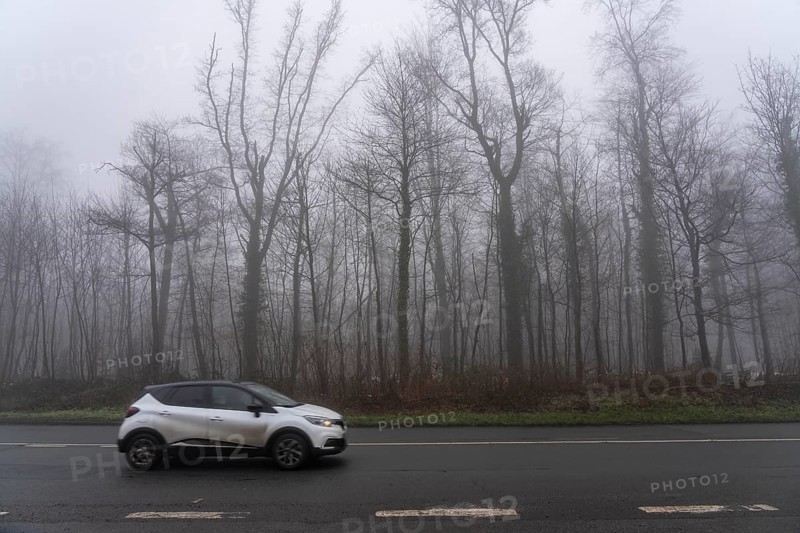 Dense fog, with visibility sometimes less than 100 metres, country road, Heisinger Straße, in Essen, North Rhine-Westphalia, Germany, Europe