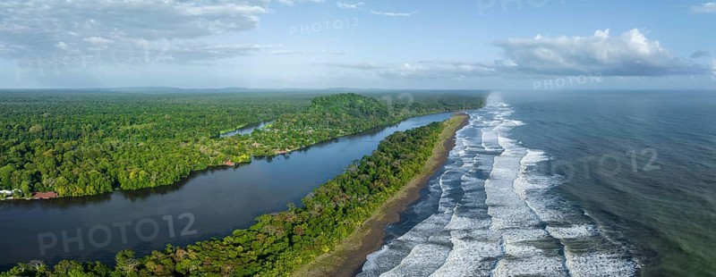 Aerial view, beach and sea, coast with rainforest, Tortuguero National Park, Costa Rica, Central America