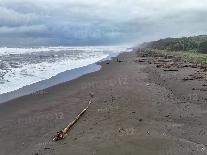 Beach and sea, coast with rainforest, Tortuguero National Park, Costa Rica, Central America