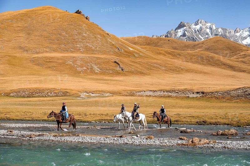Riders riding through river in front of mountain landscape with yellow meadows, Kol Suu River and mountain peaks, Keltan Mountains, Sary Beles Mountains, Tien Shan, Naryn Province, Kyrgyzstan, Asia