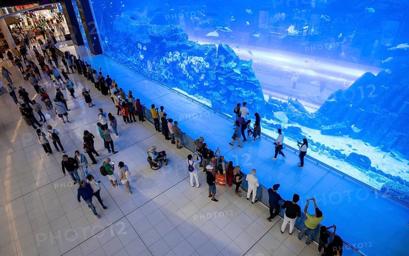 Interior view, Dubai Aquarium and Underwater Zoo, Dubai Luxury Shopping Mall, luxury shopping centre, Downtown, Dubai, United Arab Emirates, VAR, Asia