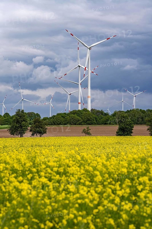 Wind farm east of Geilenkirchen, dark storm clouds, strong wind, rape field, North Rhine-Westphalia, Germany, Europe
