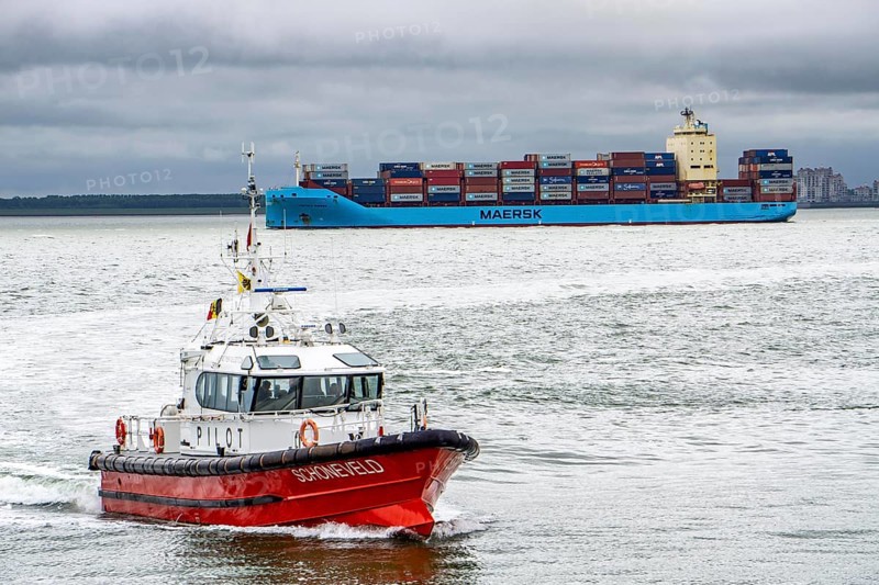 The Belgian pilot boat Schonefeld enters the Pilot Boat harbour of Vlissingen, has dropped off a pilot on the Danish container ship Vistula Maersk, which is sailing to the port of Antwerp, in the Westerschelde, Zeeland, Netherlands