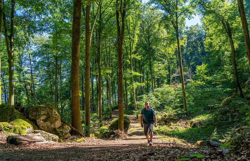 Forest path to the Devil's Gorge, near Irrel, Southern Eifel nature park Park, Rhineland-Palatinate, Germany, Europe