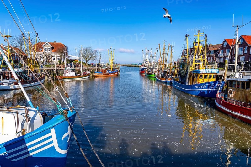 Cutter harbour Neuharlingersiel, Lower Saxony, Germany, Europe