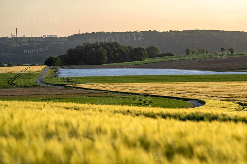 View over the Ruhr valley, to the south, from Mülheim an der Ruhr, in the direction of Duisburg-Huckingen, HKM industrial backdrop, grain fields in the evening sun, North Rhine-Westphalia, Germany, Europe