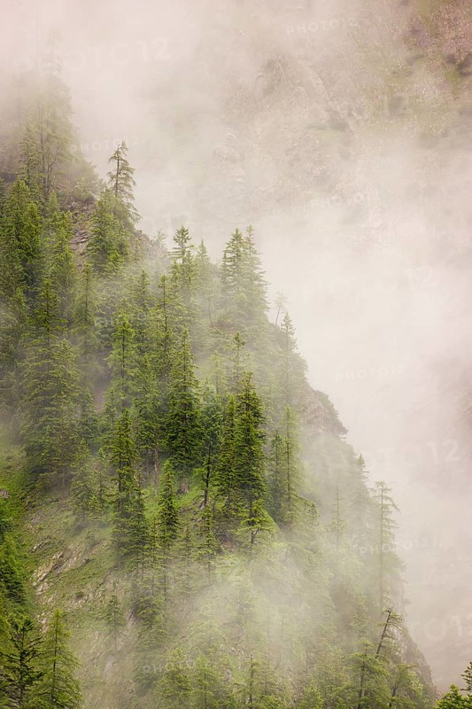 Wisps of mist cover the Karwendel mountains in the Großer Ahornboden nature reserve, Eng Valley, Tyrol, Austria, Europe