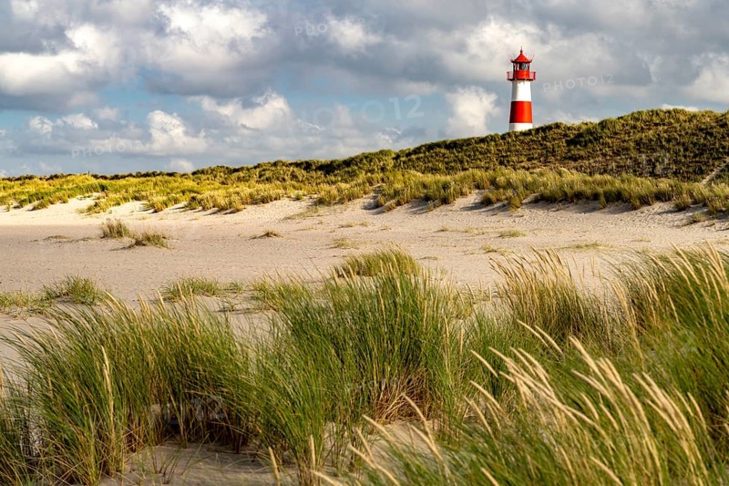 Dunes at the coast of Ellenbogen and the lighthouse List-Ost, List, island Sylt, district Nordfriesland, Schleswig-Holstein, Germany, Europe