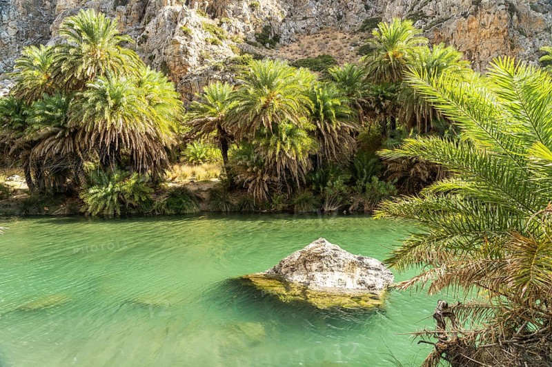 Phoenix theophrasti palms and the river Megalopotamos in the gorge of Preveli, Crete, Greece, Europe