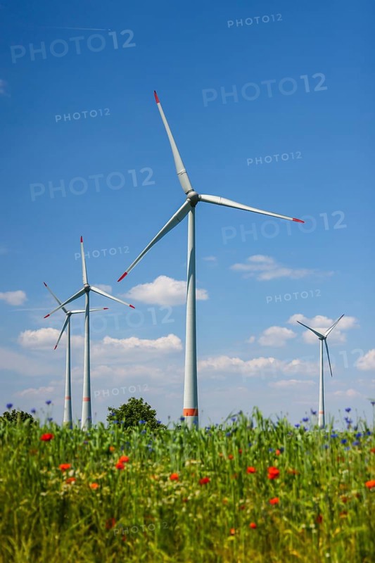 Lichtenau, North Rhine-Westphalia, Germany, wind farm in agricultural landscape, flower strips in front of wheat field, poppies, cornflowers and camomiles, Europe