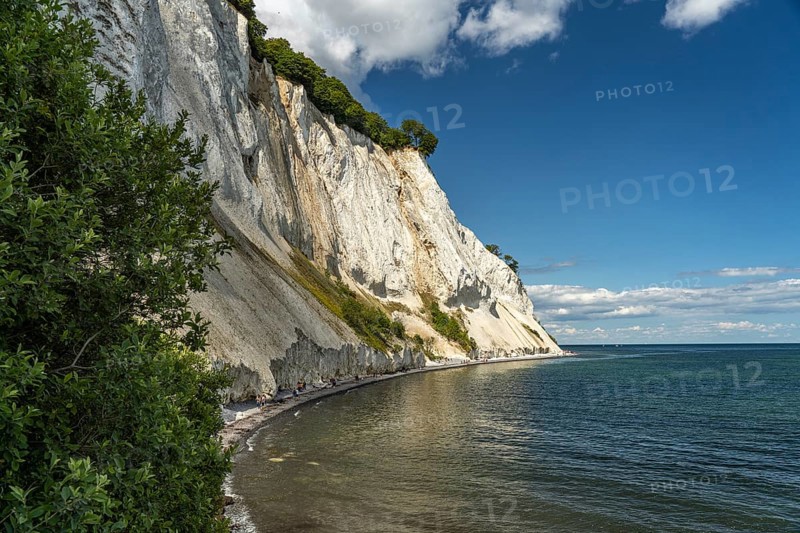 Cliffs and chalk cliffs Møns Klint, Mön Island, Denmark, Europe