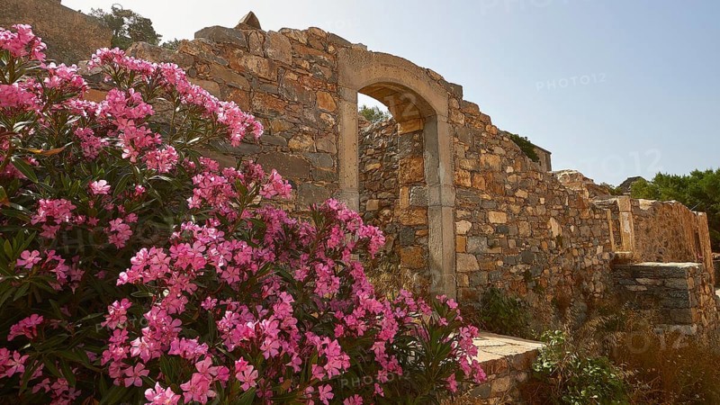 Colourful flower bush next to an ancient stone archway under the summer sun, Venetian Sea Fortress, Leper Island, Spinalonga, Elounda Bay, Mirabello Bay, East Crete, Crete, Greek Islands, Greece, Europe