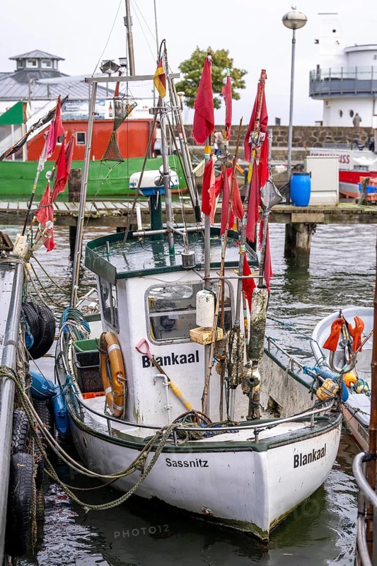 Fishing boats in the town harbour of Sassnitz, island of Rügen, Mecklenburg-Vorpommern, Germany, Europe