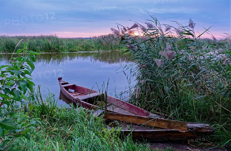 Fishing boat on a branch of the Narew in the Narew National Park in north-east Poland. Waniewo, Podlaskie, Poland, Europe