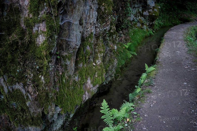 Hiking trail, Maiser Waalweg, stream, long exposure, Schenna, Scena, South Tyrol, Autonomous Province of Bolzano, Italy, Europe