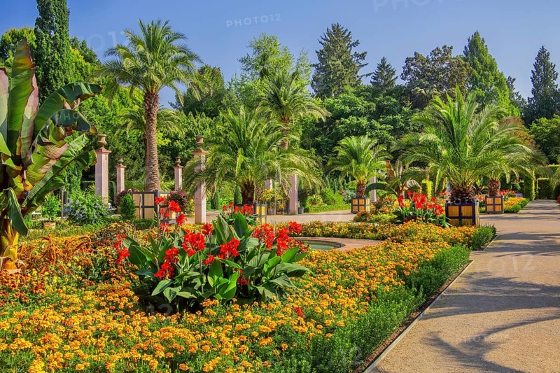 Palm garden in the historic spa gardens, the largest outdoor palm garden north of the Alps, Bad Pyrmont, Emmertal, Weserbergland, Oranierroute, Lower Saxony, Germany, Europe