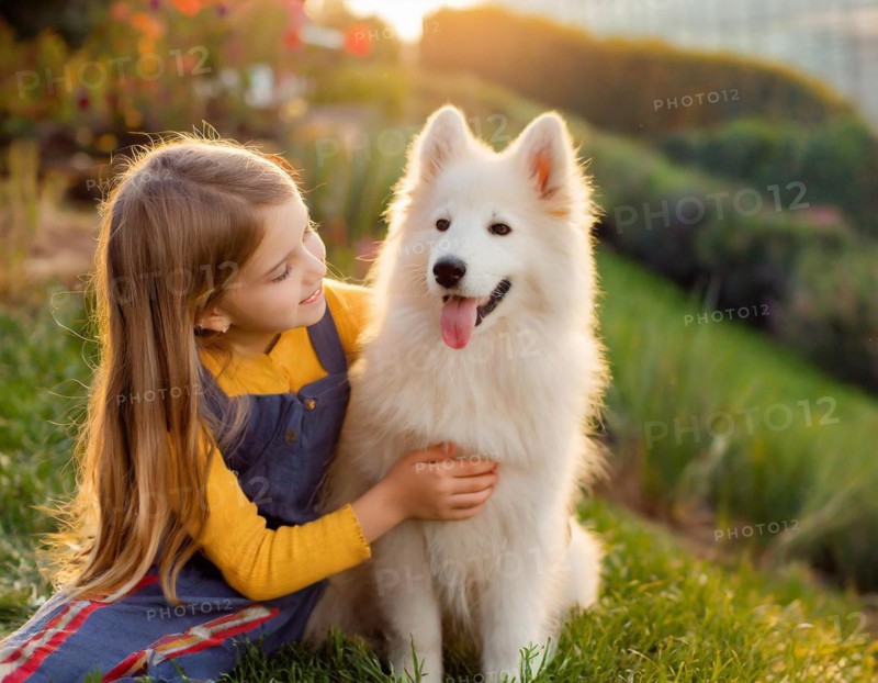 A girl with long hairin girl hugs a white dog lovingly in a sunny, natural setting, dog puppy, white shepherd dog, ki generated, KI generated, AI generated