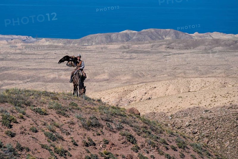 Traditional Kyrgyz eagle hunter with eagle in the mountains, hunting on horseback in front of dry landscape, near Kysyl-Suu, Issyk Kul, Kyrgyzstan, Asia