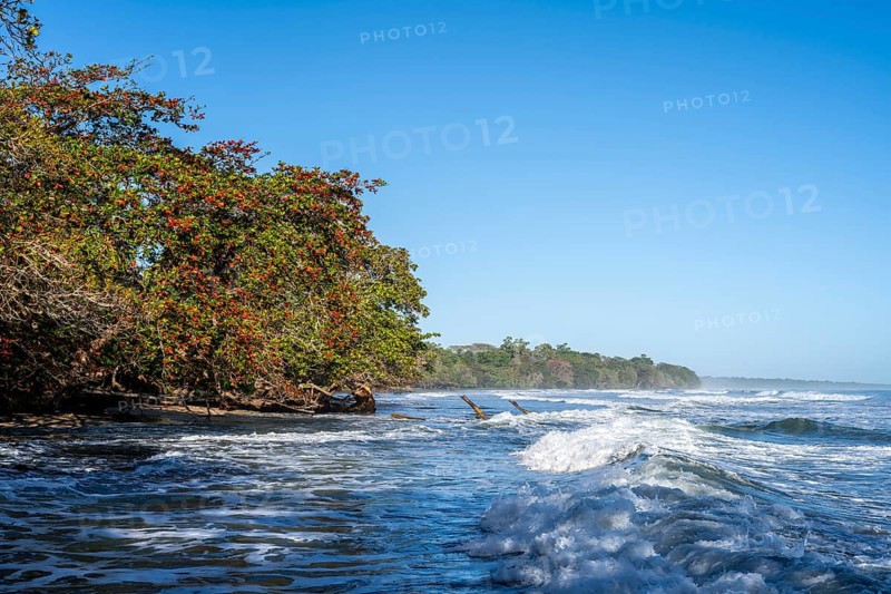 Stand in Cahuita, Costa Rica, Central America