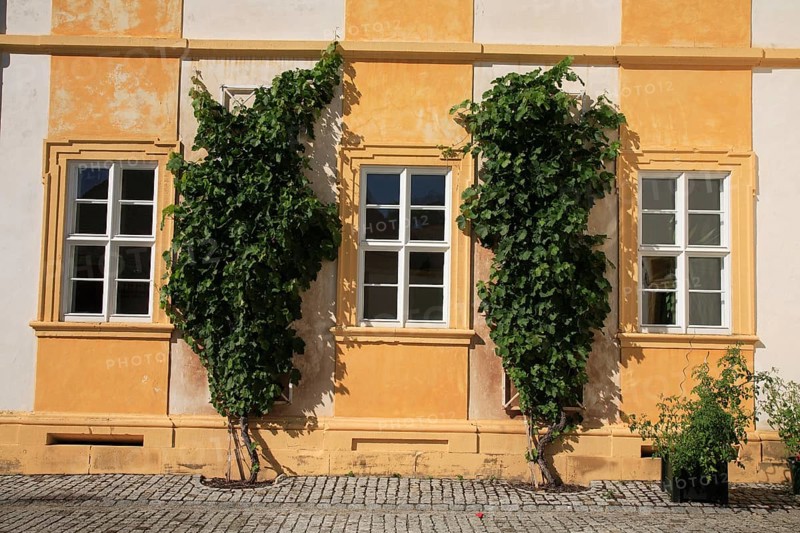 Oberschwappach Castle, facade detail, Steigerwald, municipality of Knetzgau, district of Hassberge, Lower Franconia, Bavaria, Germany, Europe