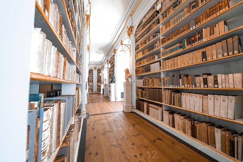 Corridor in a library with high bookshelves and a wooden floor that creates a calming atmosphere, Weimar, Germany, Europe