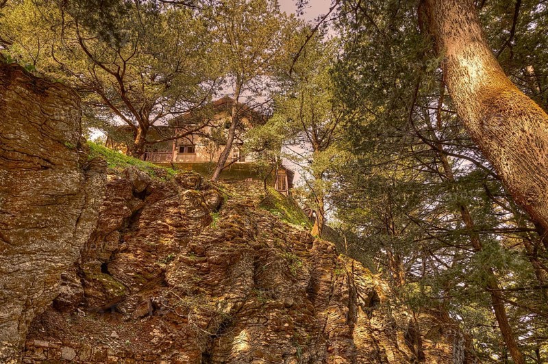 A house on a rocky outcrop, surrounded by dense trees in a forest, Big old trees, wild nature, Profitis Ilias, Rhodes, Dodecanese, Greek Islands, Greece, Europe