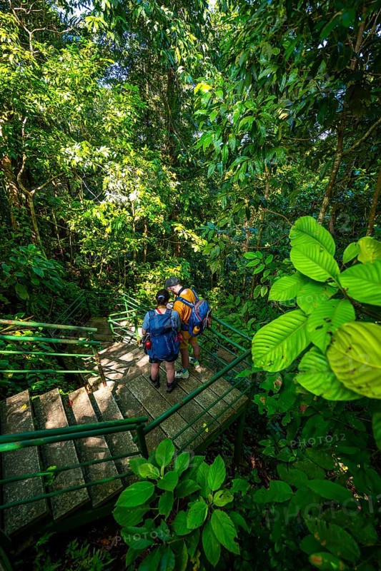 Tourist on the way in the rainforest to Cerro Tortuguero, Tortuguero National Park, Costa Rica, Central America