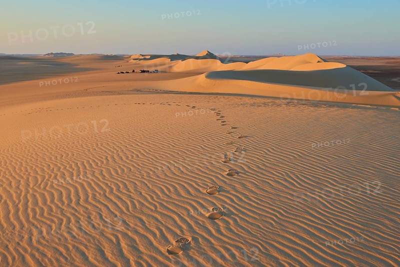 Footprints lead through a vast desert landscape with undulating sand dunes at sunset, Matruh, Great Sand Sea, Libyan Desert, Sahara, Egypt, North Africa, Africa