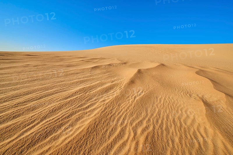 Wide sand dunes under a blue sky in the desert, Matruh, Great Sand Sea, Libyan Desert, Sahara, Egypt, North Africa, Africa