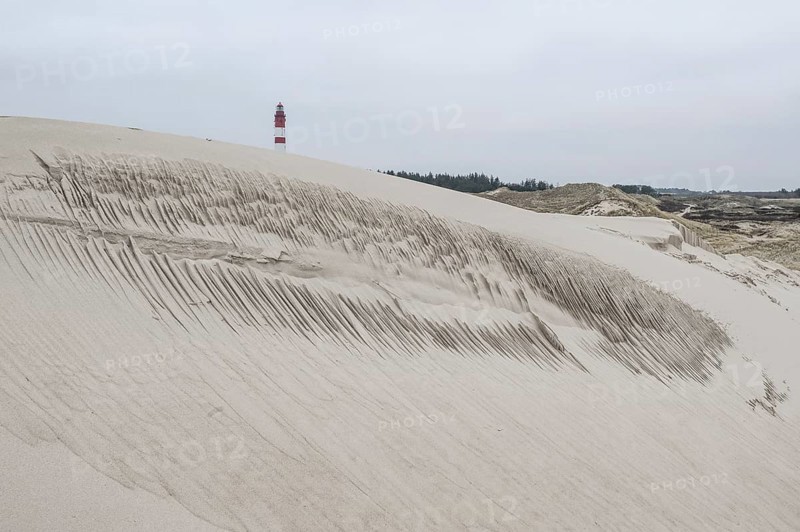 Dune landscape with lighthouse, Süddorf, Amrum, Schleswig-Holstein, Germany, Europe
