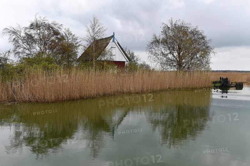 Small house in the reeds of the Darßer Bodden, Saaler Bodden, Mecklenburg-Vorpommern, Germany, Europe