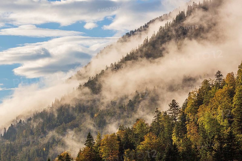 Isar valley nature conservancy area. The wild Isar river flows through its gravel bed past driftwood and entrained trees and bushes . Early morning